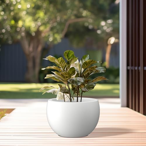 Kante 15.7" Dia Round Concrete Planter, Outdoor/Indoor Large Bowl Plant Pots with Drainage Hole and Rubber Plug for Garden Patio Balcony Home, Pure White - color: Pure White, size: 15.7" d