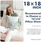 18x18 Pillow Inserts, Set of 2 Down Alternative Throw Pillows Insert for Bed, Sofa & Couch, Ultra Soft Fluffy Sleeping Pillow with 100% Cotton Cover - size: 18x18 Inch
