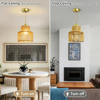 7.9″ Rattan Pendant Light Fixture Boho Woven Chandelier Ceiling Pendant Light Round Adjustable Hanging Lamp for Dining Room Kitchen Island Hallway Bedroom - color: 7.9″