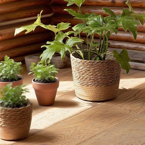 Seagrass Planter Basket, Plant Pot Succulent Organizer, Indoor Boho Woven Storage Basket with Drainage Holes for Indoor Plants, Outdoor Garden, Balcony, Patio (Khaki M) - color: Khaki M