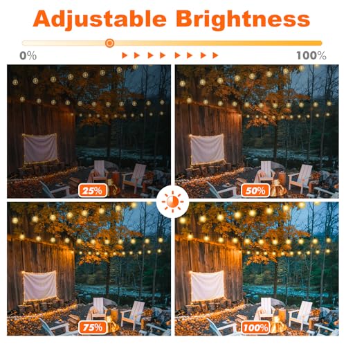 25FT LED Outdoor String Lights with 3 Color Lights, Dimmable String Lights for Outside with Remote, G40 Globe Waterproof Patio Lights with 12+1 Shatterproof Bulbs for Party Backyard BBQ House Camping - color: Black, size: 25FT-3CCT