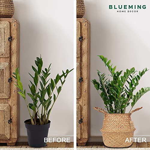 Blueming Home Olive Tree Basket – Wicker Seagrass Planter for Tall Indoor Fake Plants, Decorative Rattan Basket for Houseplants, Snake Plant, Monstera, 7-8 Inch Pots (Original, Medium) - color: Original, size: Medium
