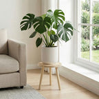 Wood Plant Stands Indoor, Single Plant Stand Modern Plant Table for Large Plants, Wooden Plant Stool Tall Plant Holder Small Round Side/End Table for Living Room Balcony Office (Light Brown) - color: Light Brown