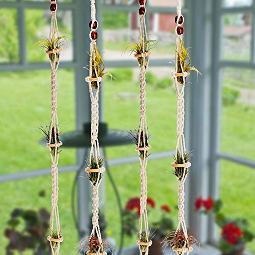 Shappy 4 Pieces Air Plants Holders Hanger Air Plant Wall Hanger Handmade Rope Hanging Plant Holder Woven with 4 Hooks for Home Decoration