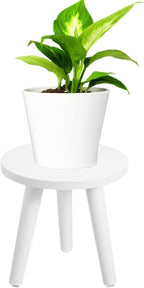 Samll Plant Stand Indoor/Outdoor for Plants,Wood White Planter Stands Holder Mid Century Pedestal Shelf,Sturdy Short Flower Rack Boho Short Plant Table 8.6"Tall Wooden Plants Stool for Garden,Patio