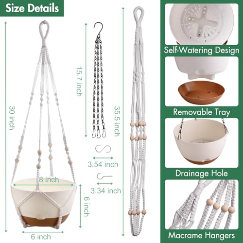 montresor Set of 2-8 Inch Hanging Planters for Indoor Plants with Self-Watering Includes Hanging Pots for Plants, Outdoor Plant Pot with Drainage, and 2 Types of Hanging Baskets Hangers (White) - color: White, size: 8inch
