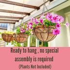LaLaGreen Hanging Planter for Outdoor Plants (10 Inch, 2 Pack) Hanging Baskets with Coco Liner, Black Metal Wire Flower Basket Pots with Hook Hanger Balcony Porch Farmhouse Country Style Garden Decor - size: 10" x 2 Pack