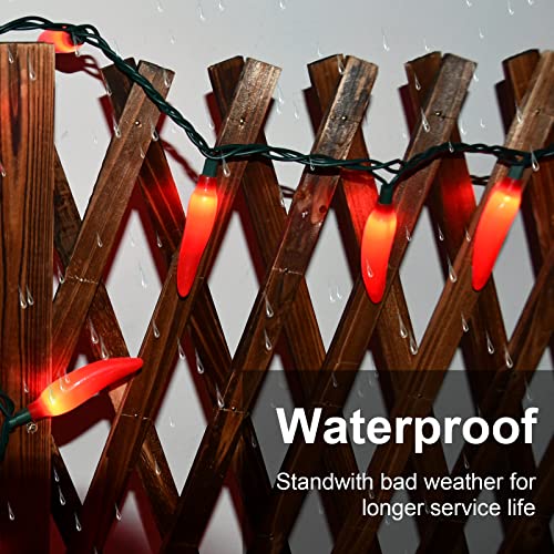 Red Chili Pepper Lights, 13.6Ft Christmas Decorations String Lights with 35 Red Chili Pepper Lights for Mexican Fiesta Indoor Party Kitchen Patio Bedroom Decorations, Green Wire - color: Red chili lights