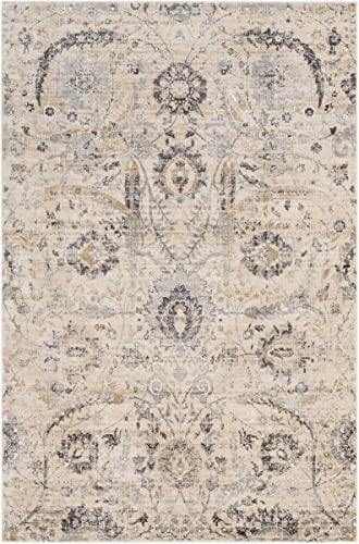 Hauteloom Obsidian Rustic Farmhouse Traditional Floral Medallion Carpet for Living Room - Boho Vintage Oriental Damask Area Rug - Blue Gray, Terracotta, Beige, Cream, Black - 5'3" x 7'3" (5x7) - color: Beige, Black, Charcoal / Sunnyside, size: 5'1" x 7'3"