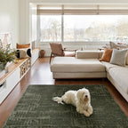 Revival Rugs Shell 5'x8' Area Rugs for Living Room Bedroom Dining Room - Washable, 100% Recycled, Oeko-TEX Certified, Modern, Medium Pile, Green - color: Green, size: 5'3" x 7'10" (Rectangular)