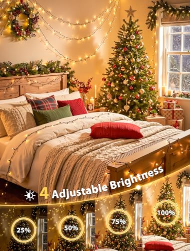 Hopolon String Lights Indoor Outdoor, 33 FT 100 LED Christmas Lights with Remote, Connectable Green Wire Twinkle Fairy Lights Plug in Waterproof for Wedding Party Patio Spring Decor (Warm White) - color: Warm White, size: 100 LED with Remote