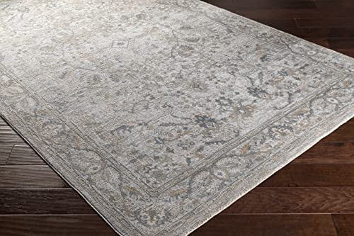 Hauteloom Claridge Living Room, Bedroom Area Rug - Medallion Floral Border Distressed Faded - Traditional Oriental Transitional Turkish - Beige, Taupe, Medium Gray, Gray, Cream - 2' x 2'11" - color: Beige, Taupe, Medium Gray / Glengarry, size: 1'11" x 2'1