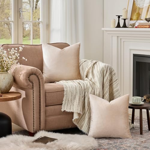 GIGIZAZA 22x22 Beige Pillow Covers: Pack of 2 Champagne Vintage Throw Pillows Super Soft Velvet Covers - Decorative Elegant Square Big Solid Cushion Covers Used for Couch,Living Room,Bedroom - color: Champagne, size: 22" x 22" (Pack of 2)