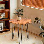19.5 Inch Live Edge Side Table, Wood Small End Table with Waterproof, Rustic Accent Table Unique for Living Room, Bedroom, Home, Freeform - size: 19.5"D x 19.5"W x 20"H