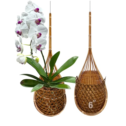 Handmade 100% Thai Bamboo Super Sanctuary Hanging Orchid Basket - 6 Inch Set of 2 - color: 6 Inch Super Sanctuary 2-pack