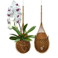 Handmade 100% Thai Bamboo Super Sanctuary Hanging Orchid Basket - 6 Inch Set of 2 - color: 6 Inch Super Sanctuary 2-pack