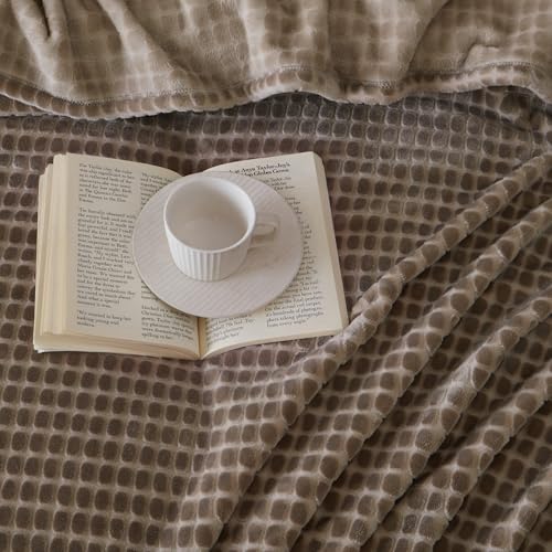Fleece Throw Blanket for Couch and Bed, 50x60 Inches Soft Cozy 3D Decorative Jacquard Flannel Blankets, Lightweight Fuzzy Warm Throws for Sofa, All Seasons,Taupe -Block Pattern - color: Taupe-1