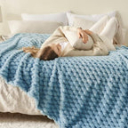 NEWCOSPLAY Super Soft Throw Blanket Blue Premium Silky Flannel Fleece 3D Clouds Stylish Jacquard Lightweight Bed Blanket All Season Use 350GSM (Blue, Throw(50"x60")) - color: Blue, size: Throw(50"x60")