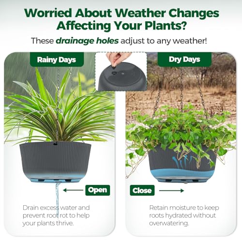 T4U 10 Inch Hanging Planters for Indoor Outdoor Plants, Hanging Plant Pot Pack of 2, Self Watering Hanging Pots with Drainage Hole & Plug & Chain with 3 Hooks for Garden Home Decor, Grey - color: Gray, size: 10 inch