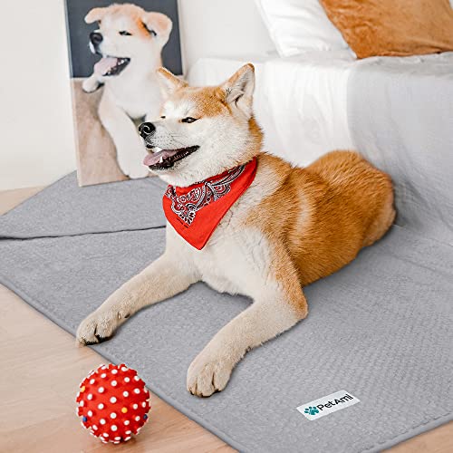 PetAmi Waterproof Dog Blanket, Leakproof Puppy Blanket for Small Medium Dogs, Furniture Sofa Couch Cover Protector, Fleece Pet Throw Indoor Cat Kitten, Reversible Washable Soft Plush, 24x32 Light Gray - color: Light Gray, size: Small (24x32)