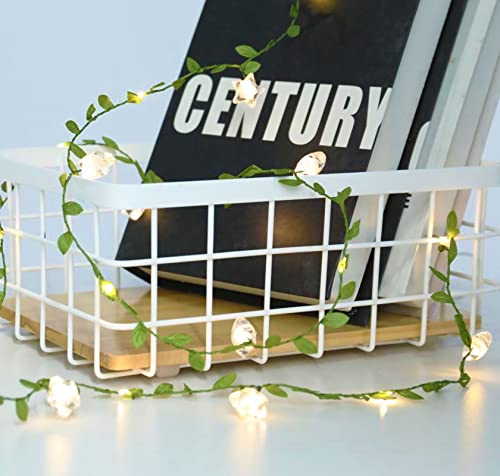Vigdur 2 Packs Vine String Lights - Tiny Leaf Ivy String Lights with 48 Star Lights Battery Powered Waterproof Fairy Light Indoor Outdoor for Bedroom Party Garden Wall Décor St. Patrick's Day - color: Leaf and Star