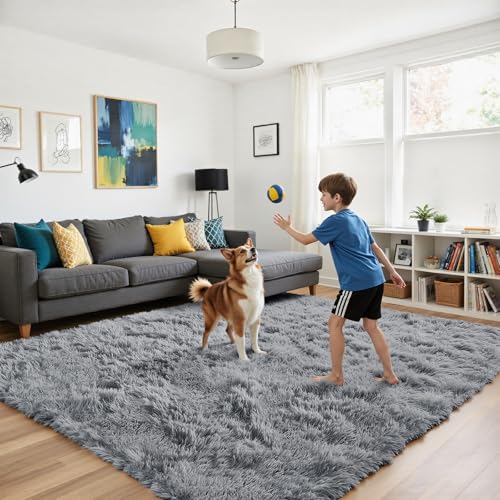 Fluffy Rug Shag Area Rug, Light Grey 2x4 Area Rugs for Bedroom, Small Bedside Rug, Soft Fluffy Shag Entryway Throw Rugs for Living Room Bedroom Room Home Decor - color: Light Grey, size: 2' x 4' (Rectangular)