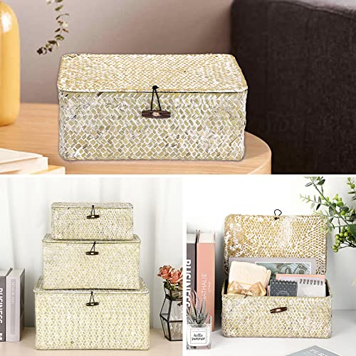 Hipiwe Wicker Shelf Baskets Bin with Lid Natural Seagrass Basket Storage Boxes Small Woven Basket Multipurpose Home Organizer Bins Box for Shelf Closet Bedroom Living Room Home Decor, Whitewash - color: Whitewash, size: Small