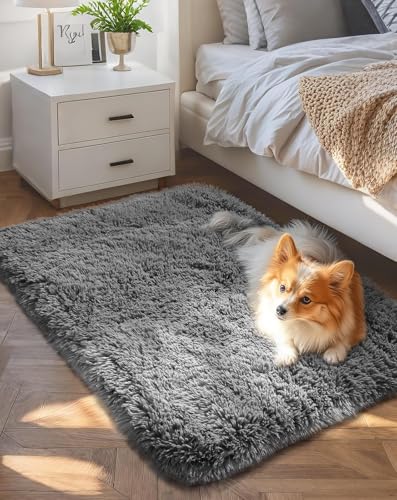 Ophanie Small Rug Upgrade Non Slip Throw Bedside Area Rugs, Fluffy Soft Grey Mini Bedroom Carpet, Affordable Door Entryway Indoor Inside Front Entrance Dog 2x3 Mat, Home Decor Aesthetic, Nursery - color: 1- Grey, size: 2' x 3' (Rectangular)