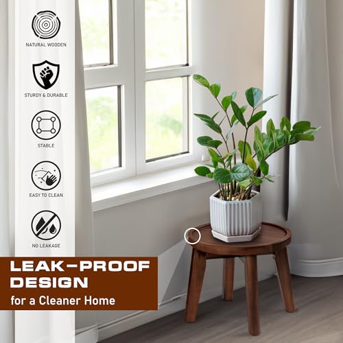 Demigo Indoor Plant Stand, Acacia Wooden Decorative Plant Shelf with Spill-Proof Tray, Stable 8” Tall Flower Holder for Heavy Pots, Gardening Display for Decor Living Room Patio - Dark Brown - color: Dark Brown, size: Medium
