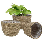 Seagrass Basket Planter, Flower Pot Cover, Storage Basket, Plant Container, Hand Woven, Plastic Liner, Beige, 7 Inch, Indoor/Outdoor
