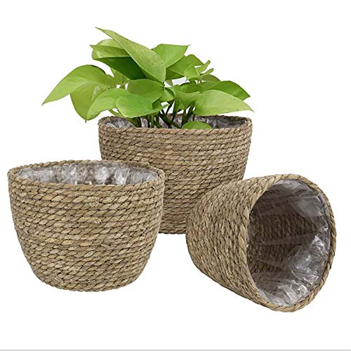 Seagrass Basket Planter, Flower Pot Cover, Storage Basket, Plant Container, Hand Woven, Plastic Liner, Beige, 7 Inch, Indoor/Outdoor