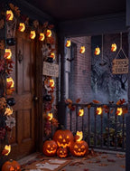 8.5ft Owl Christmas Outdoor String Lights with 10 LED Bulbs, Shatterproof Fairy Lights Plug in for Xmas - color: Multicolor Owl