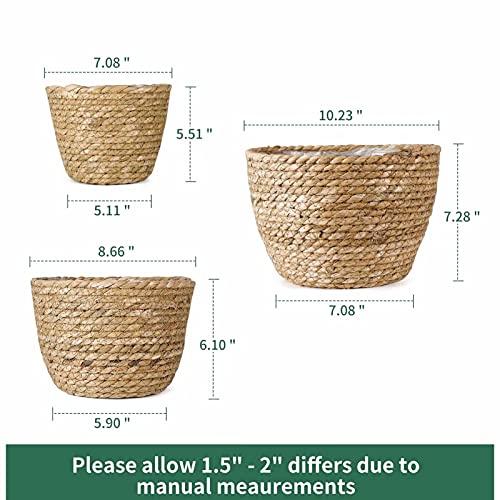 Seagrass Planter Basket 3 Set Handmade Woven Basket Indoor Outdoor Storage Basket Flower Pot Container with Waterproof Plastic Liner for Houseplants Succulents Orchid Modern Home Decor Brown