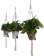 Macrame Plant Hangers Set of 3 – Handmade 39-Inch Indoor/Outdoor Hanging Planters in Ivory with Beads, Boho Home Decor for Pots up to 9 Inches (Pots Not Included)
