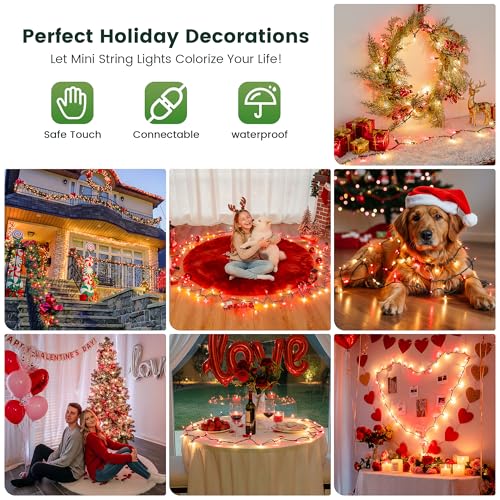 YOUNGAR Clear Christmas Lights Outdoor, 13FT Red&Clear Approved Christmas Tree Lights with Green Wire, Incandescent Mini Light Plug in Indoor Outdoor Tree Patio Garden Xmas Decor,Red Clear,50 Count - color: Red/White, Green Wire, size: 50 Count 1Pack