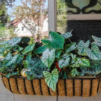 3Pcs 36“ Coco Liners for Planters, Pre-Formed Trough Coconut Fiber Liner Replacement for Window Box, Fence Flower Baskets, Garden Flower Pot (36 inch 3PCS) - size: 36 inch 3PCS