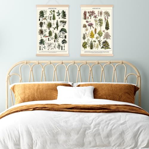 Chenkaiyang Vintage Tree Poster (2 Pcs), Green Tree Wall Art Prints, Rustic Retro Tree Chart, Living Room Decor - color: tree