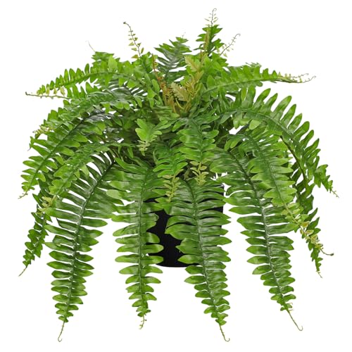 Hollyone Artificial Fern Plants in Pot 25.5" Artificial Boston Fern 31 Leaves for Outdoors & Indoor Faux Potted Plant Fake Ferns Bush Plant for Patio Garden Farmhouse Porch Home Decor Green - color: Black Pot - Green Medium