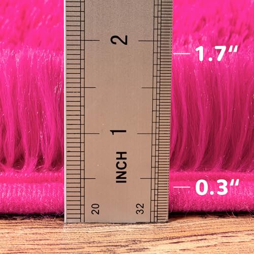 Awaytail Fluffy Rug 2x3 Feet - Preppy Girls Fuzzy Rugs College Dorm - Small Cute Chair Rug Washable for Nursery- Hot Pink - color: Hot Pink, size: 2' x 3' (Rectangular)
