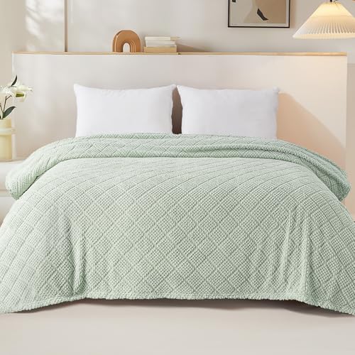 Whale Flotilla Fuzzy Fleece Twin Size Blanket for Bed, Soft Fluffy Jacquard Waffle Blankets for All Season, Lightweight and Cozy, 60x80 Inch, Sage Green - color: Sage Green, size: Twin(60x80 Inch)