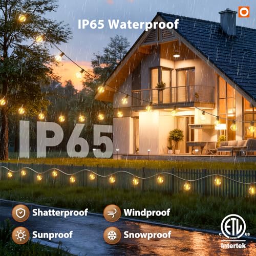 addlon Outdoor String Lights 50FT G40 with Remote, 27 LED Shatterproof Bulbs, Dimmable Patio Globe Lights Waterproof, Hanging Outside Lighting for Backyard, Garden, Deck, Balcony, Porch, Café, Decor - size: 50FT(25 Sockets)