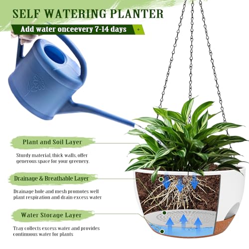 Hanging Planters for Outdoor Indoor Plants, 2 Pack 10 Inch Hanging Basket Plants Outdoor, Self Watering Hanging Planter with Plant Hanger for Garden Home Decoration (White, 10 inch) - color: White, size: 10 inch