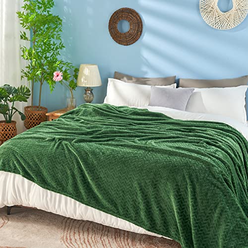 inhand Fleece Queen Blanket for Bed, Super Soft Flannel Cozy Queen Bed Blanket for Adults, Washable Lightweight Fuzzy Bed Blanket for Office, Warm Plush Blankets for All Season (90"×90", Green) - color: A-green, size: Full/Queen-90x90 IN