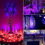 Halloween Purple Fairy String Lights: 12 Pack 7 Ft 20 LED Battery Operated Firefly Lights on Black Wire Starry Moon Lights for DIY Party Bedroom Patio - color: Purple, size: 12 Pack