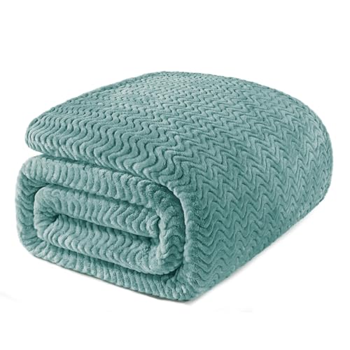 Exclusivo Mezcla Fleece Bed Blanket Queen Size, Lightweight Jacquard for Spring Summer, Soft Cozy Breathable Blankets, Celadon, 90x90 Inches - color: Celadon, size: Queen ( 90x90 IN )