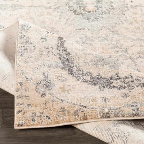 Hauteloom Obsidian Rustic Farmhouse Living Room Bedroom Dining Room Area Rug - Turkish Style - Traditional Floral Look - Bluish Medium Grey, Beige, Light Brown, Cream, Black - 4'3" x 5'7" - color: Beige, Black, Charcoal / Sunnyside, size: 4'2" x 5'7" (Rec