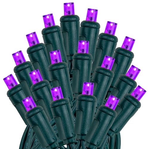 Novelty Lights 25ft 50 LED Purple Christmas Lights Outdoor/Indoor, 6" Spacing, Green Wire String Lights for Festive Xmas Lighting, IP55, UL Listed, Dimmable, Connectable - color: Purple