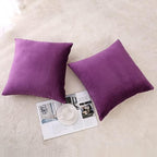 NiNi ALL Decorative Throw Pillow Covers Velvet 26x26 Inch Pack of 2 Purple Cushion Covers Soft for Couch Sofa Bedroom Living Room Outdoor