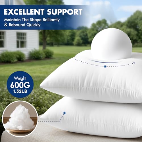 MIULEE Outdoor Pillow Inserts 20x20 Pack of 4 Waterproof Throw Pillow Inserts Decorative 100% Virgin Fibers Filling for Patio Sofa Couch - size: 20x20 Inch