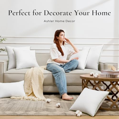 Ashler 28x28 Pillows Insert (Set of 2) - Throw Pillow Inserts with 100% Cotton Cover - 28 Inch Square Interior Sofa Stuffer Pillow Inserts -Decorative White Couch Pillow - size: 28x28 Inch